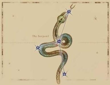 The Serpent - 